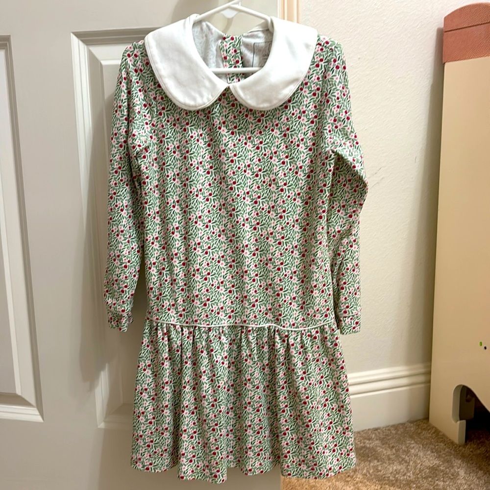 Winter/spring Lila and Hayes dress
